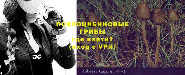 MESCALINE Белокуриха