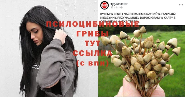 MESCALINE Белокуриха